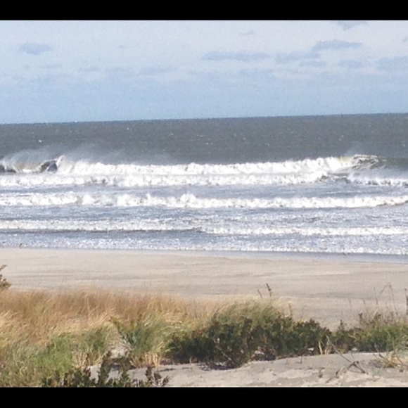 Meet your Posher, Samantha - Picture 1 of 1